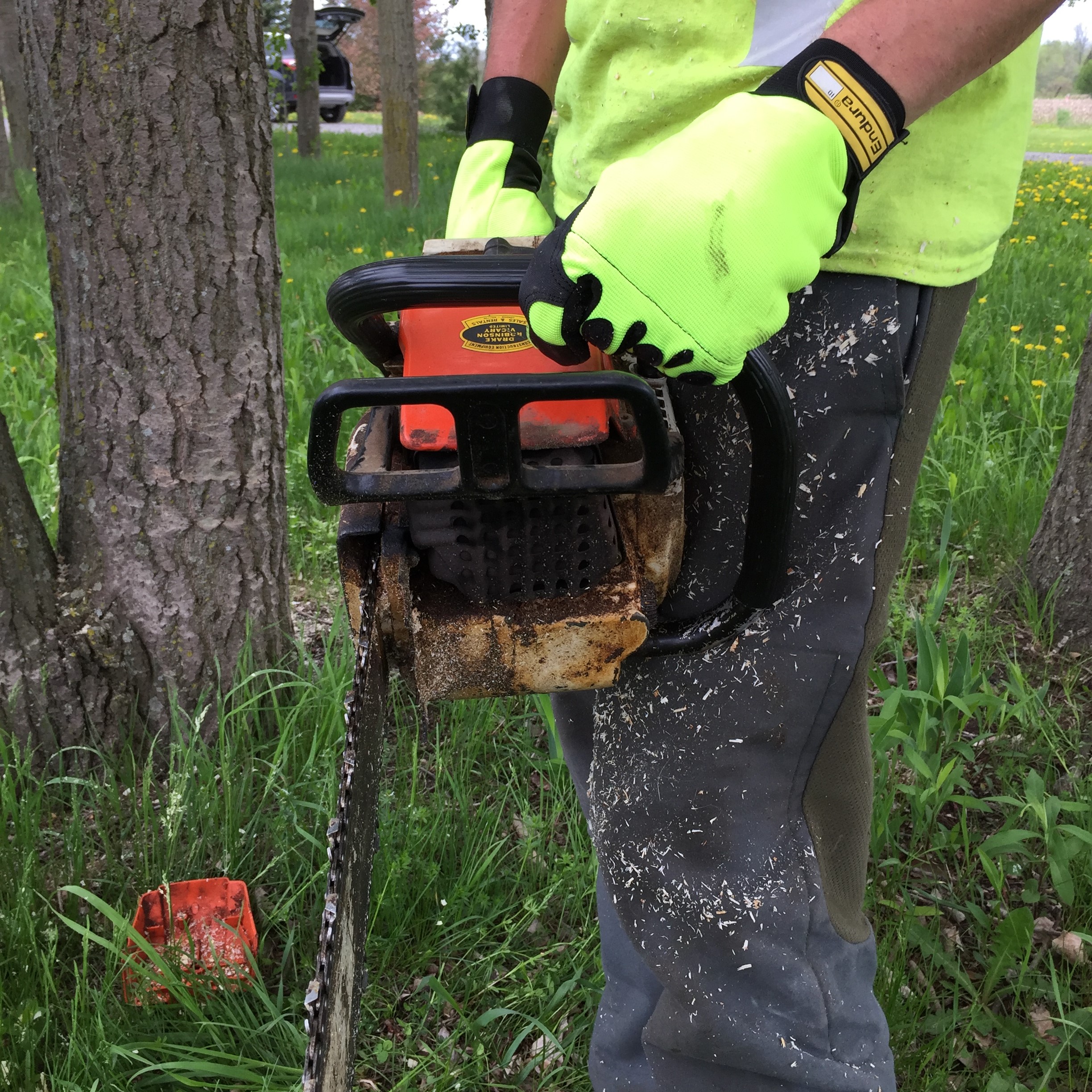 Endura® 385CS  High-Vis Chainsaw Safety Gloves | Superior Glove®